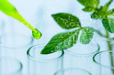 chimie verte